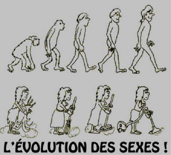 evol d sexes-humourenvrac